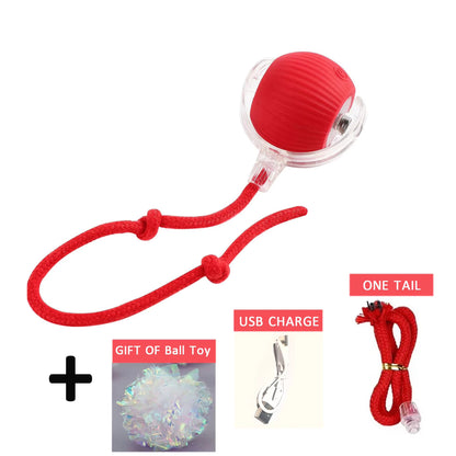 Interactive Rolling Cat Ball, Dog Toys Rolling Ball for Indoor, 360° Smart Automatic Rolling Pet Ball, Self Rolling Ball